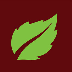 vector illustration of a green leaf