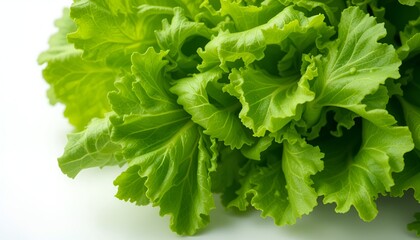 Fototapeta premium Lush green lettuce head with crisp leaves, displayed in a well-lit, inviting food photography style.