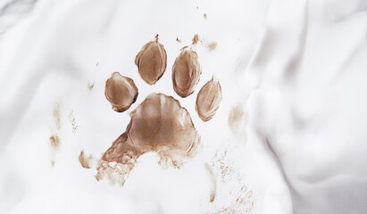 Close-up of a single muddy animal paw print on white fabric, showing natural texture, detail and contrast between cleanliness and mess.