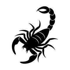 Fototapeta premium Scorpion illustration vector arachnid animal danger design art silhouette
