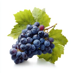 A bunch of fresh, ripe grapes with green leaves, ready to enjoy. The dark blue grapes offer a taste of summer