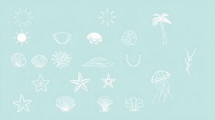Delicate beach themed line art illustrations featuring seashells starfish and summer symbols