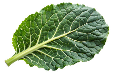 Fresh collard greens leaf closeup isolated, healthy eating, food photography on transparent background