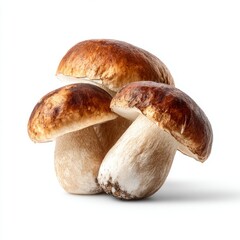 Close-up of three brown mushrooms with beige stems, showcasing detail and texture.