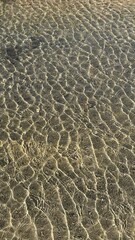 Shimmering clear water in shallow river, sun reflection, sunny summer day, sandy bottom. Vertical...