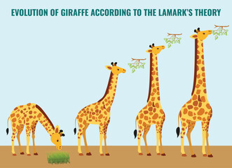 EVOLUTION OF GIRAFFE ACCORDING TO THE LAMARK’S THEORY © Rimpa