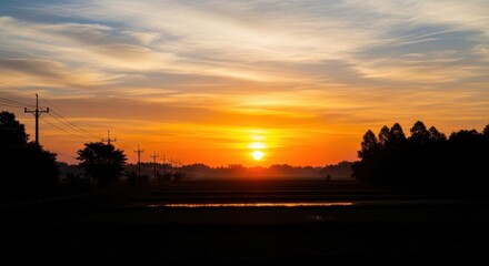 Sunrise over a misty rural landscape with scattered trees and birds flying