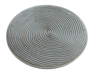 A flat disc with concentric circular patterns resembling an intricate digital fingerprint.