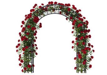 Red roses climb a metal arch, isolated on transparent background