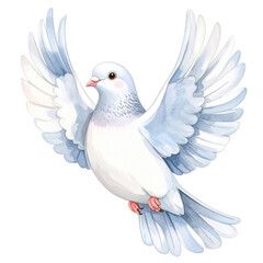 Obraz premium Flying Dove: Capture the grace and freedom with this stunning image of a white dove, wings outstretched in mid-flight, symbolizing peace, purity, and hope. The dove radiates serenity.