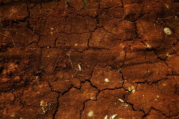 Cracked Dry Soil Shows Dryness and Natural Texture in Warm Earthy Colors, Perfect for illustrating...
