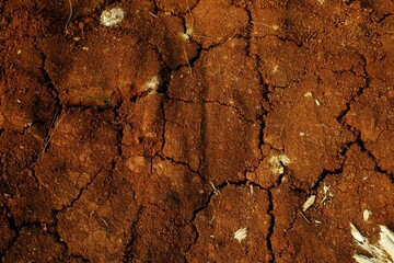 Cracked Dry Soil Shows Dryness and Natural Texture in Warm Earthy Colors, Perfect for illustrating concepts like the natural environment
