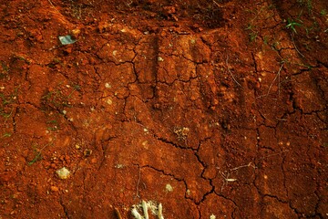 Cracked Dry Soil Shows Dryness and Natural Texture in Warm Earthy Colors, Perfect for illustrating...