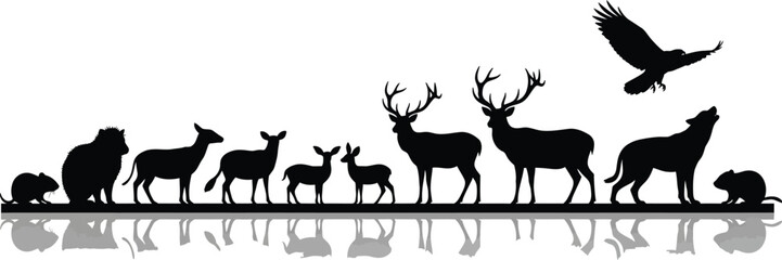 Silhouette of various animals including deer wolf eagle and rodents with reflection on white background