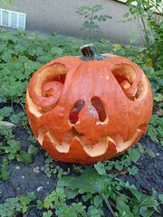 halloween pumpkin