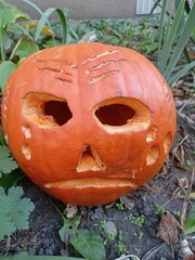 jack o lantern pumpkin