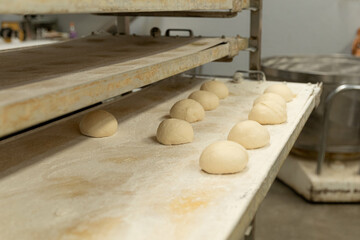 Burger buns placed in the tray and ready to be stuffed in the bakery oven.
