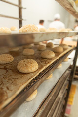 Burger buns placed in the tray and ready to be stuffed in the bakery oven.