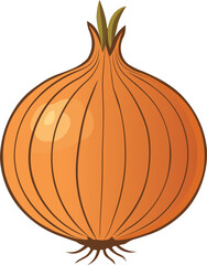 Illustration of a Fresh Golden Onion