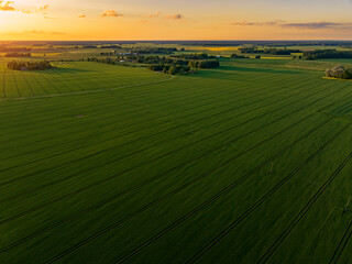 Aerial view of grain fields during beautiful sunset