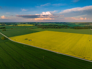 Aerial view of grain fields during beautiful sunset