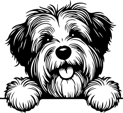 Dog SVG, Pet SVG, dog head SVG,