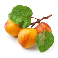 Fresh apricots, their vibrant hues set against a clean background, creating an appetizing sight