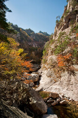 한국의 강원도에 있는 설악산의 단풍과 풍경.