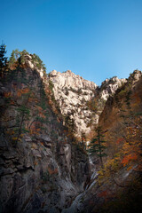 한국의 강원도에 있는 설악산의 단풍과 풍경.