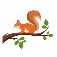 squirrel on the branch