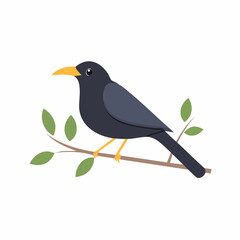 Fototapeta premium Blackbird Perched on Branch Nature Illustration