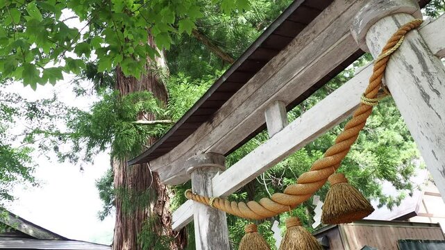 夏の観光名所白川郷の白川八幡神社の鳥居の風景