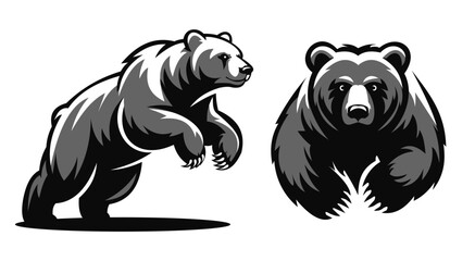 vector illustration of a bear