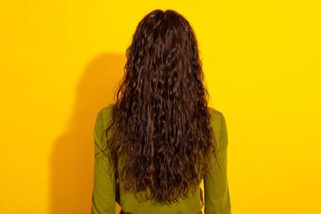 Rear view of a woman with long curly hair in green shirt against a yellow background highlighting...
