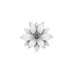 white flower on white background
