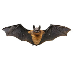 Front view for single Halloween decor elements, photo realistic studio style photo, isolated on a pure white background, no shadow. (Bats) (4).png