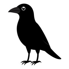 A single black crow vector icon on white background.