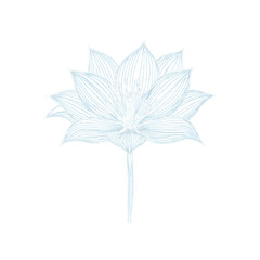 flower icon vector decorative element