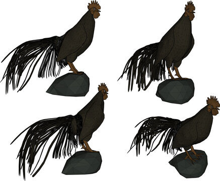 silhouette vector illustration of a rooster animal design serama with a beautiful tail standing proudly crowing long and loud 