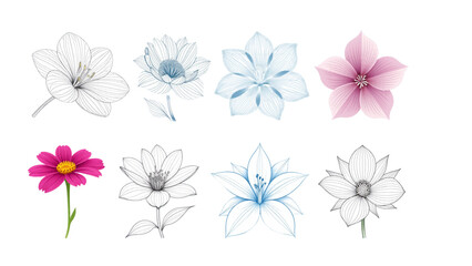 Obraz premium set of vector flowers