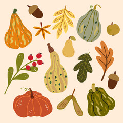 Cozy hand drawn autumn elements. Pumpkins of different form, acorn and leaves. Botanic fall season cartoon retro stickers. Vector illustration