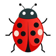 A straightforward and clean of a single ladybug vector icon on white background.