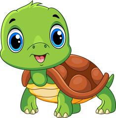 Illustration of Little Cute Cartoon Turtle on a white background