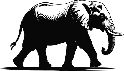 Vector black silhouette of a animals on a white background