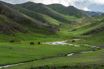 Green mountain valley and stream in Yolyn Am, Gobi Gurvansaikhan National Park, Mongolia