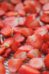 fruit dehydrator with fresh strawberry for home preserved food