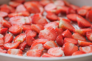 fruit dehydrator with fresh strawberry for home preserved food