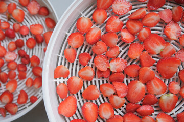 fruit dehydrator with fresh strawberry for home preserved food