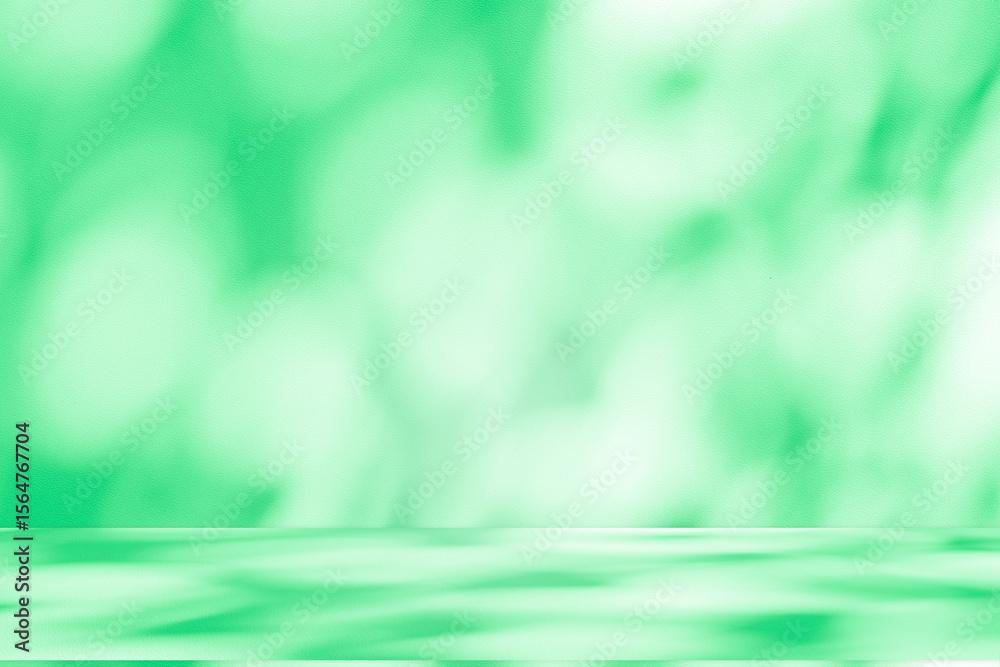 Poster Wall interior background, studio and backdrops show products. with leaf shadow from window color green and white. background for text insertion and presentation of product	