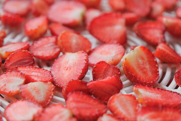 fruit dehydrator with fresh strawberry for home preserved food
